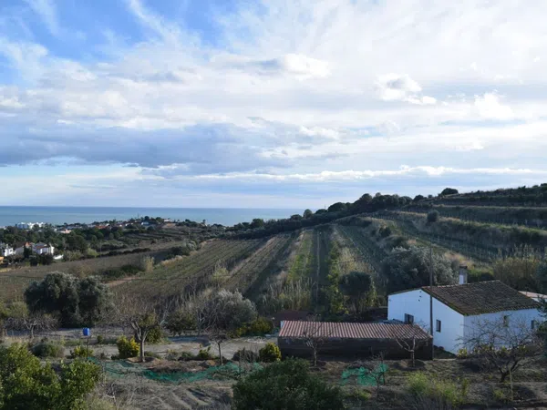 Casa o chalet independiente en Camino Baix de Tiana s/n - Foto 1