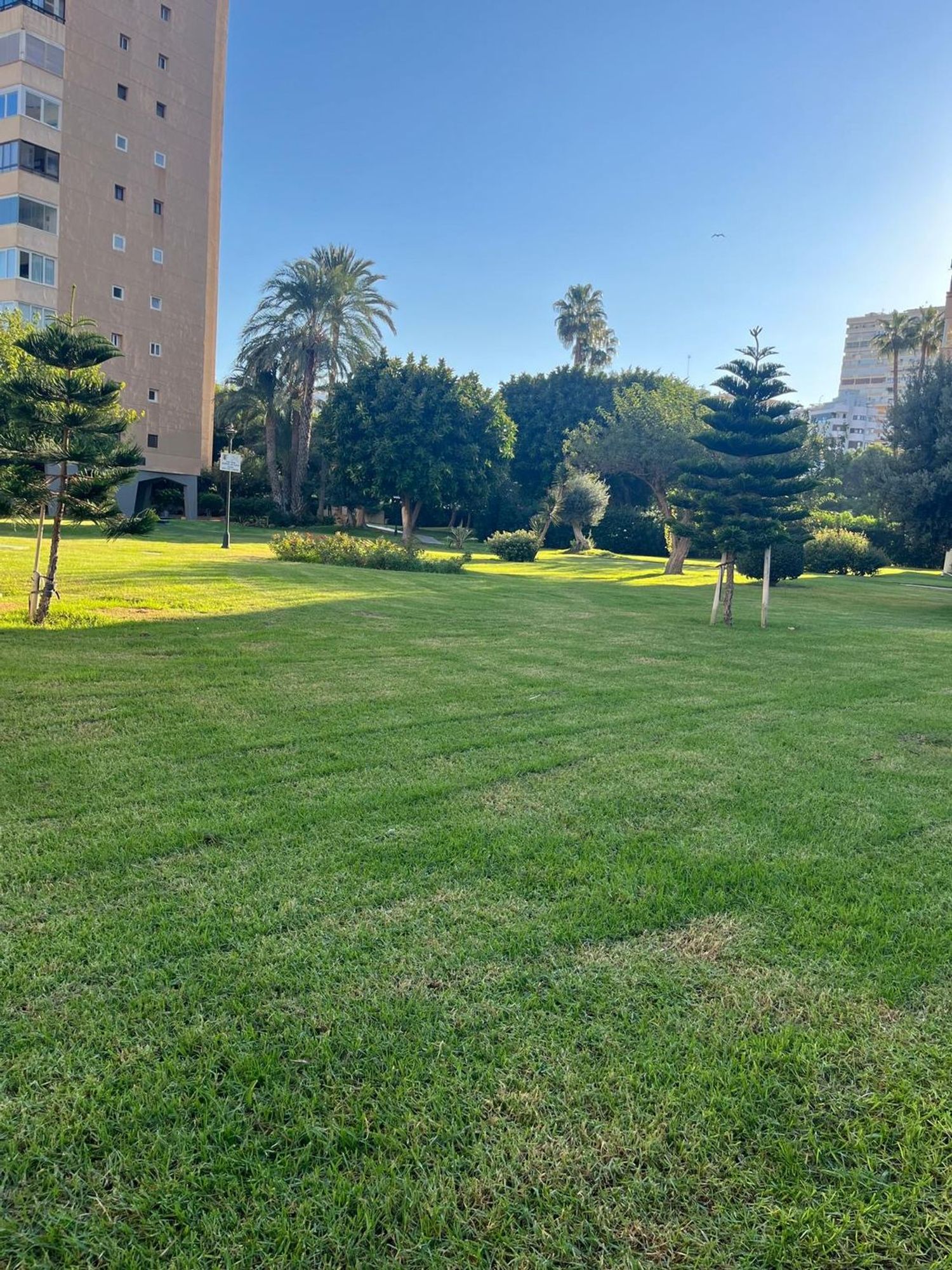 Piso en Avenida de Playamar, 70, Playamar - Benyamina - Foto 27