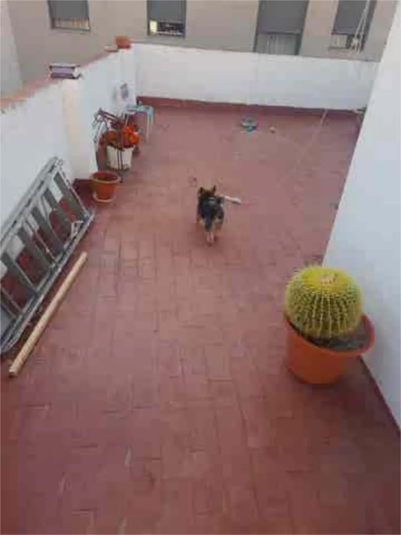 Chalet en santo ángel (murcia) - Foto 2