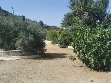 Finca rústica en  Plaza Llanete de Arriba 2 - Foto 4