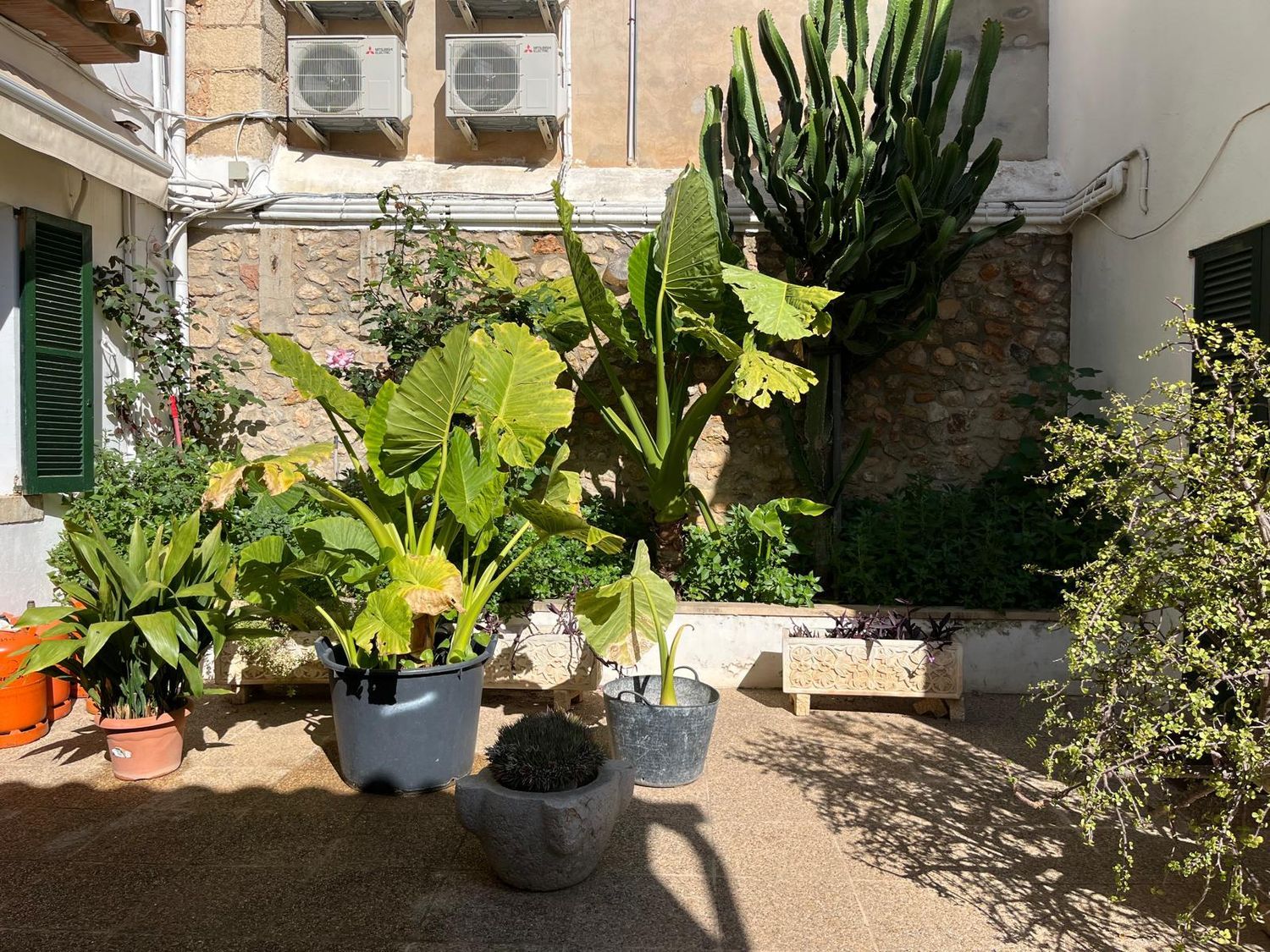 Casa de pueblo en Pujol, 2 Bajos - Foto 5