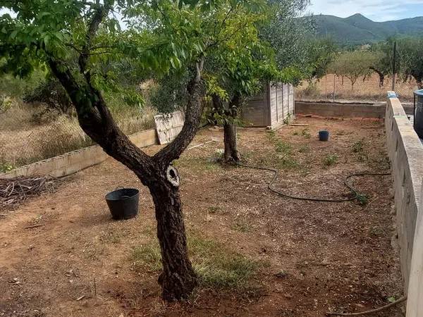 Casa rural en Calle Incolla, 8 Poligonoparcela, Centro, Centro - Foto 21