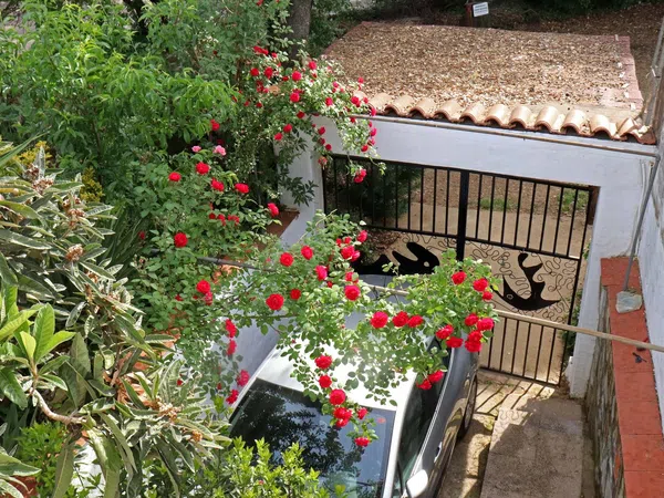 Chalet pareado en carretera Cc-431 s/n - Foto 3