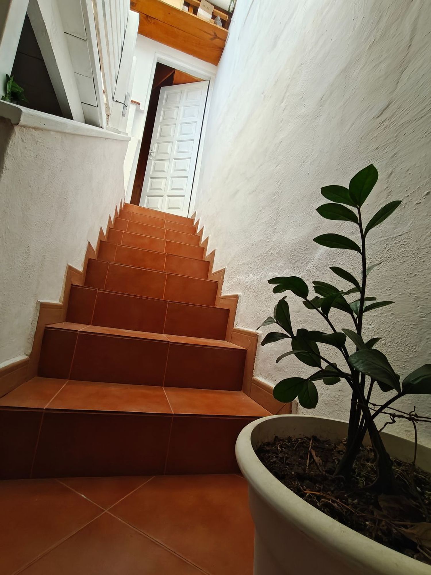 Chalet adosado en avenida Jose Antonio Tavio, 19 - Foto 18