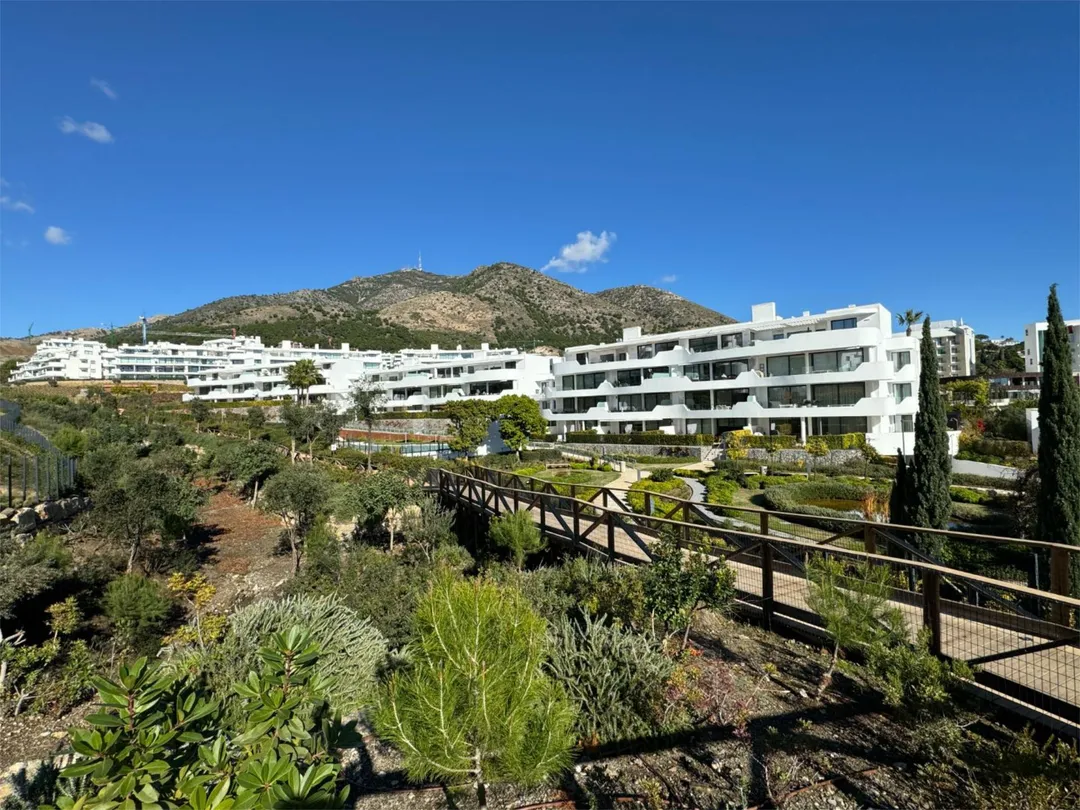 Piso en avenida Av. 8 de Marzo 3 - Foto 5