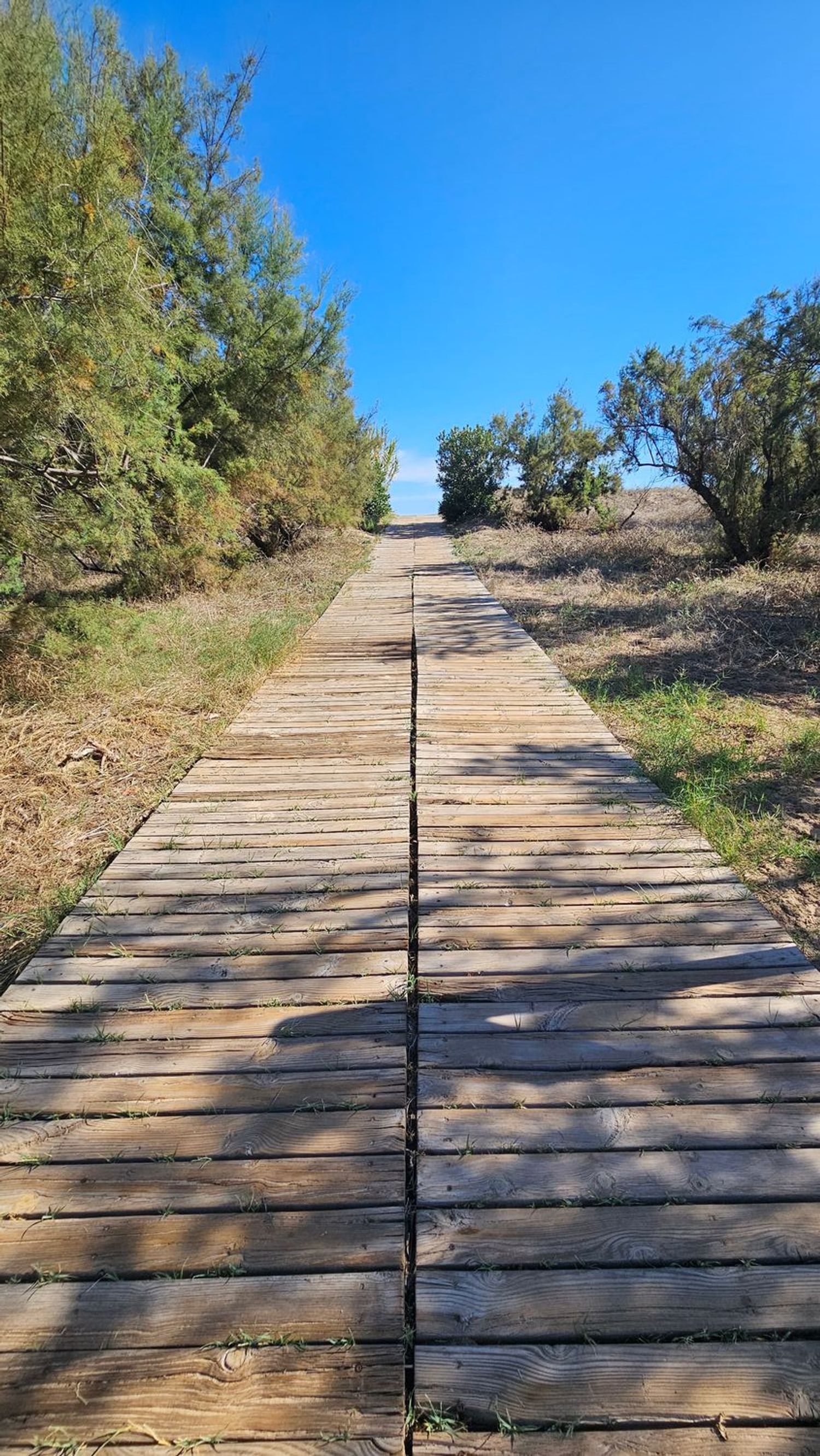 Piso en Calle Ozieri, 4, Platja de Oliva, Platja de Oliva - Foto 27