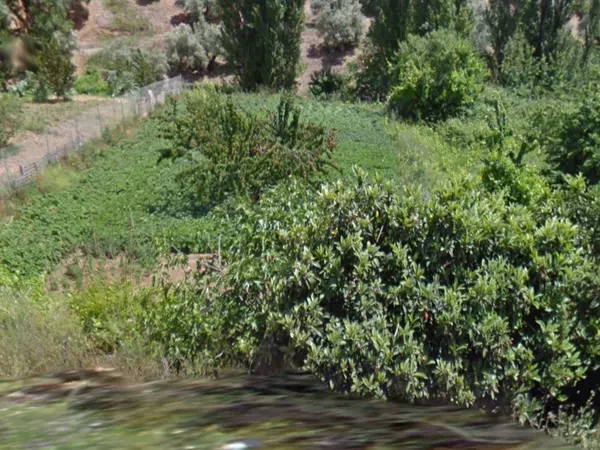 Casa de pueblo en Aldea s/n - Foto 4