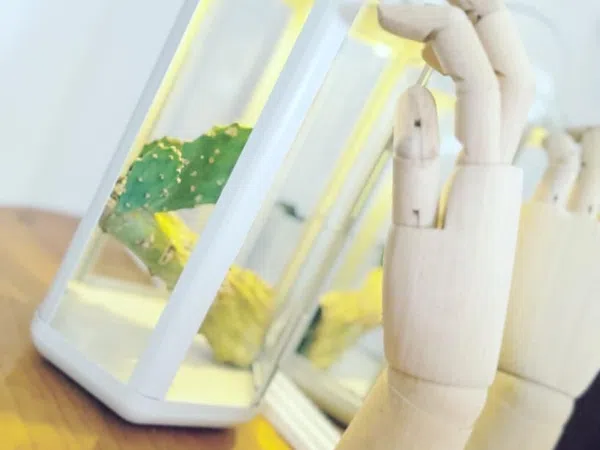 Ático en Monduver, 1 - Foto 27