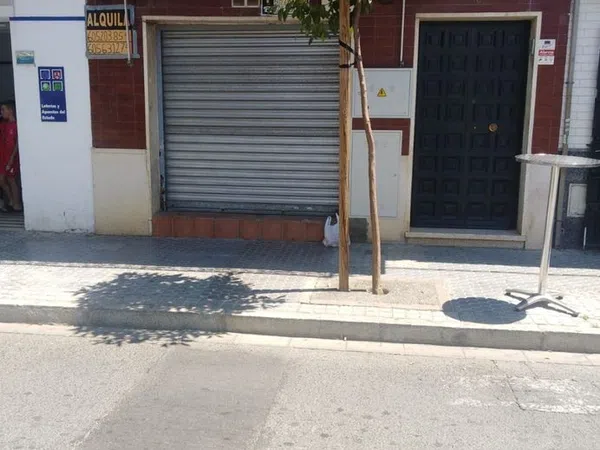 Local en Calle Guadalajara, 105, Bellavista - Foto 2