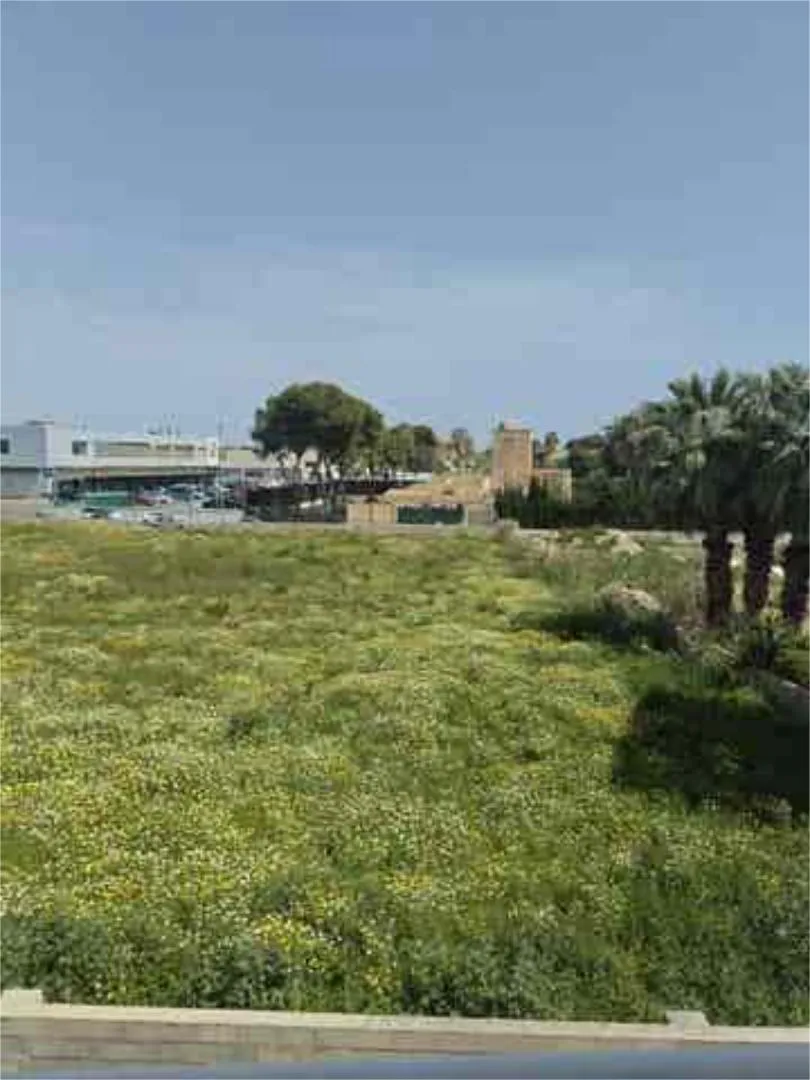 Apartamento en Albufereta - Foto 5