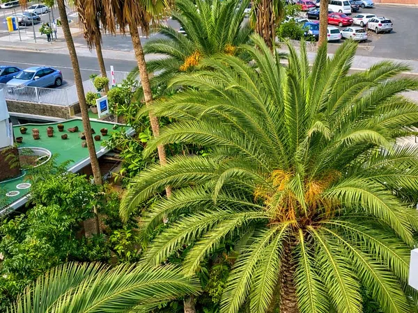 Piso en Avenida 8 de Marzo, 27, Playa del Inglés, Playa del Inglés - Foto 14