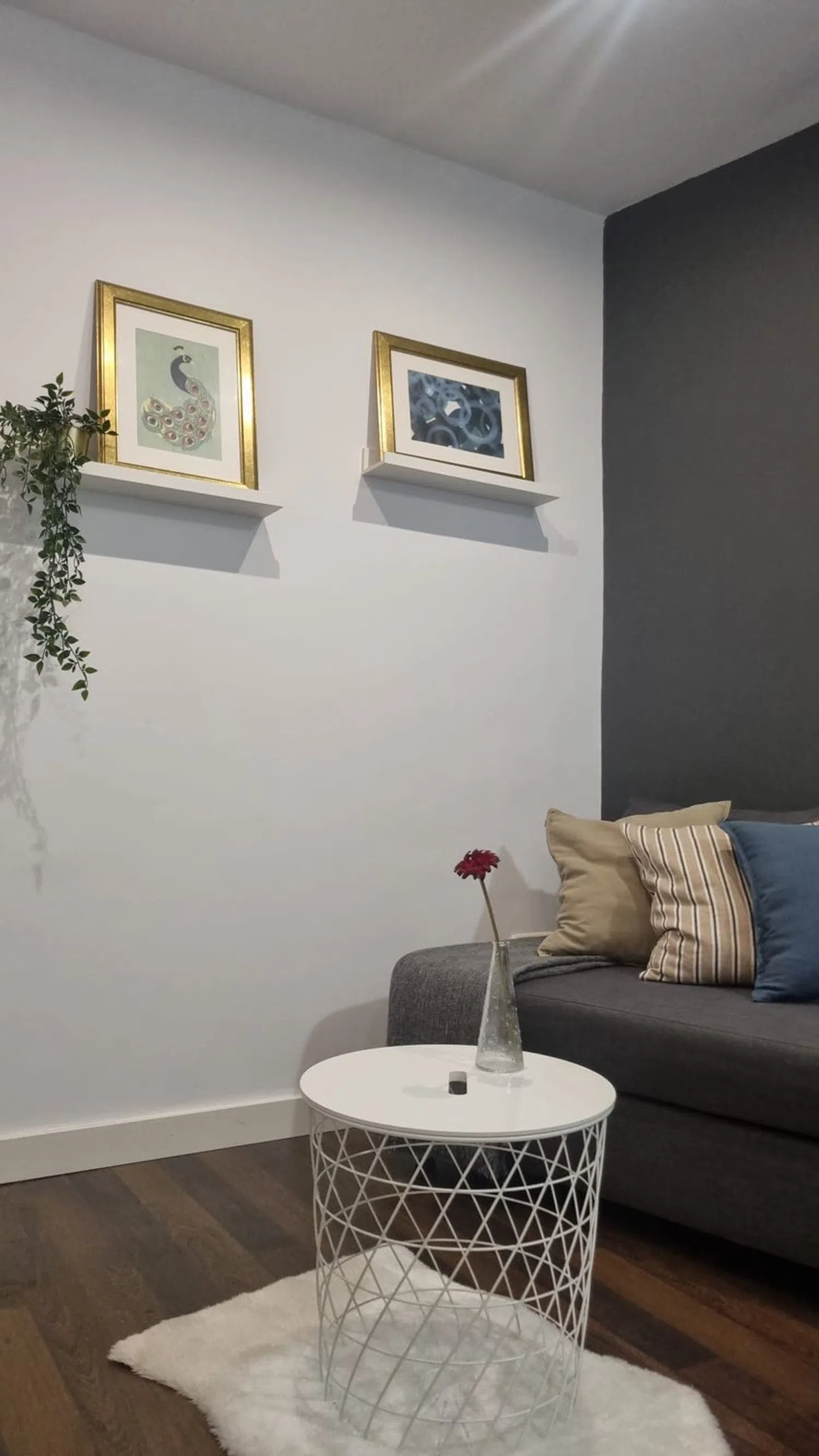 Estudio en calle Calvo Asensio, 10 - Foto 13