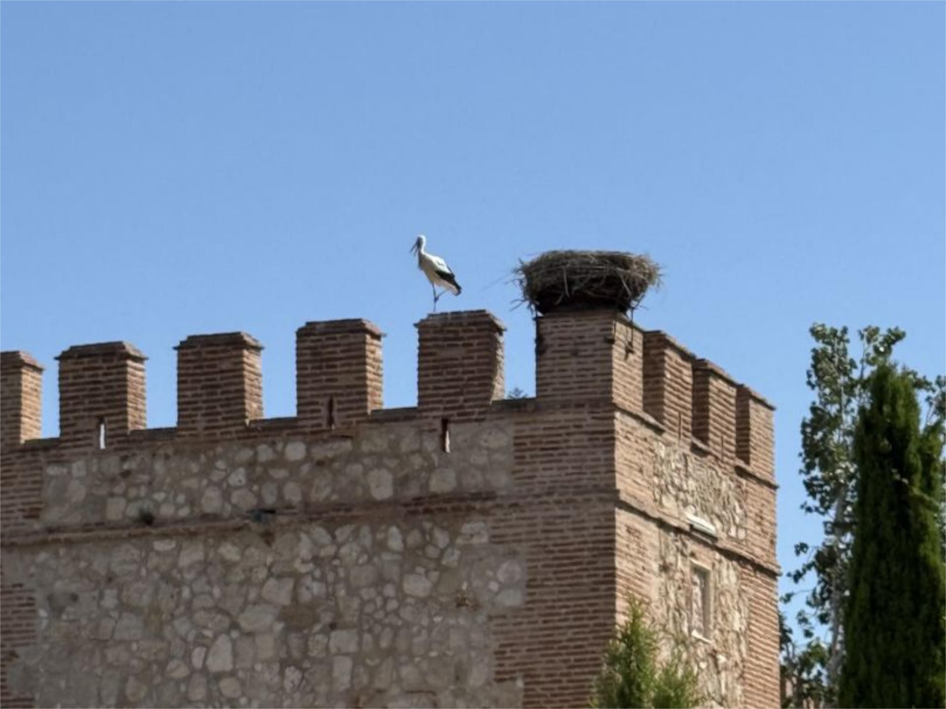 Piso en  Plaza Puerta de Madrid 4 - Foto 17