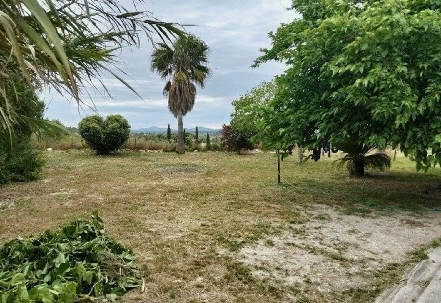 Finca rústica en Polígono 3 s/n - Foto 2