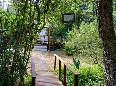 Finca rústica en  Diseminado Pago el Chaparral 309 - Foto 17