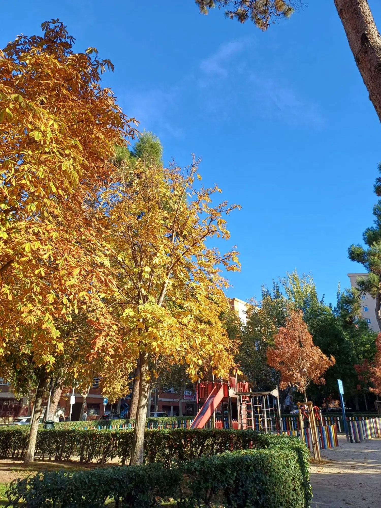 Piso en calle Prudencio Álvaro, 13 - Foto 22