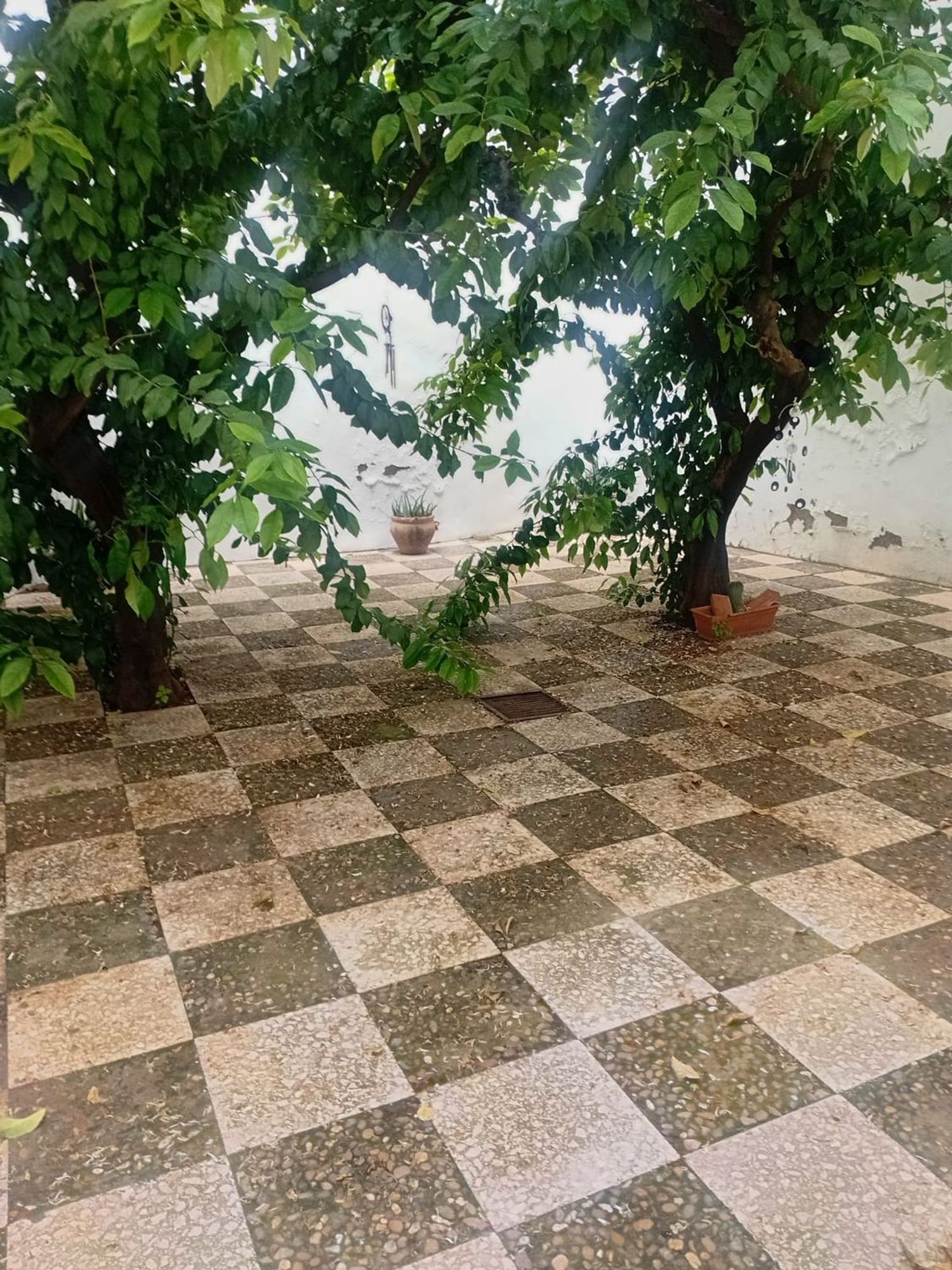 Estudio en Calle Relator, 37, Feria - Foto 1