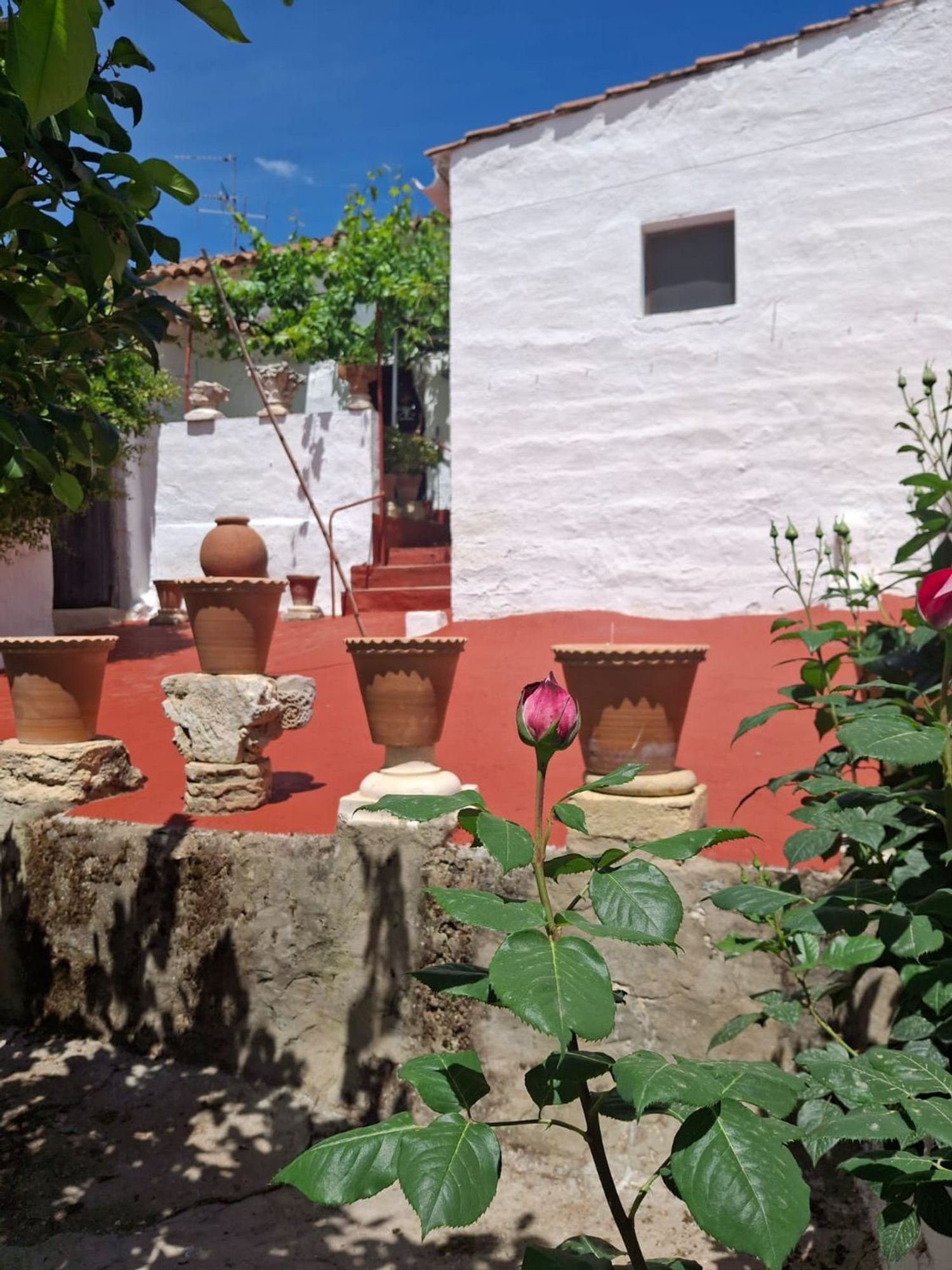 Casa de pueblo en Calle Castelar, 2 - Foto 23
