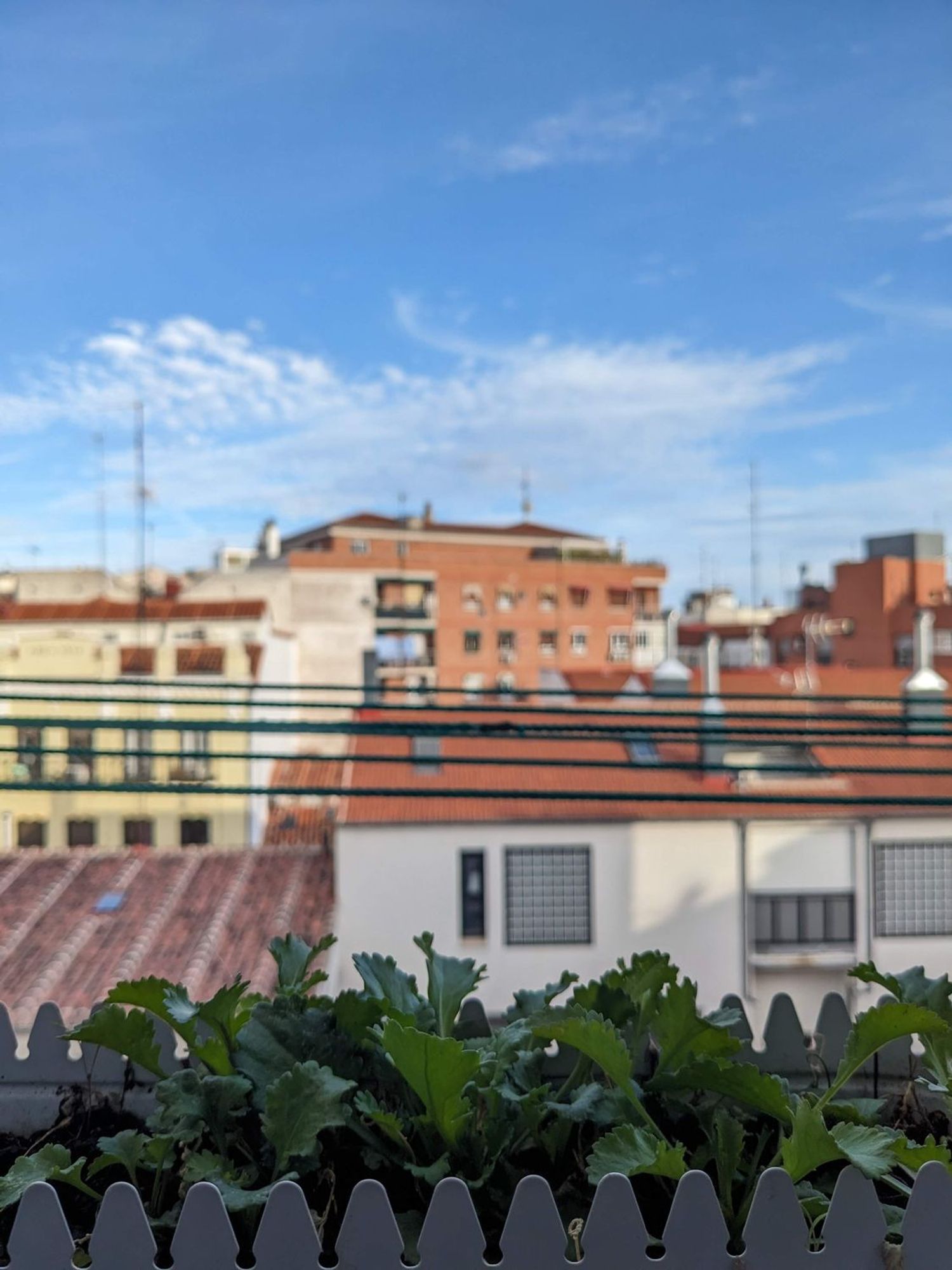 Piso en calle de Antonio Palomino, 4 - Foto 7