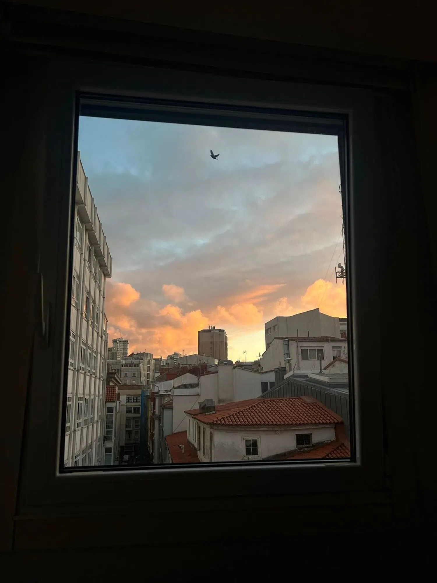 Ático en calle Nova, 10 - Foto 3