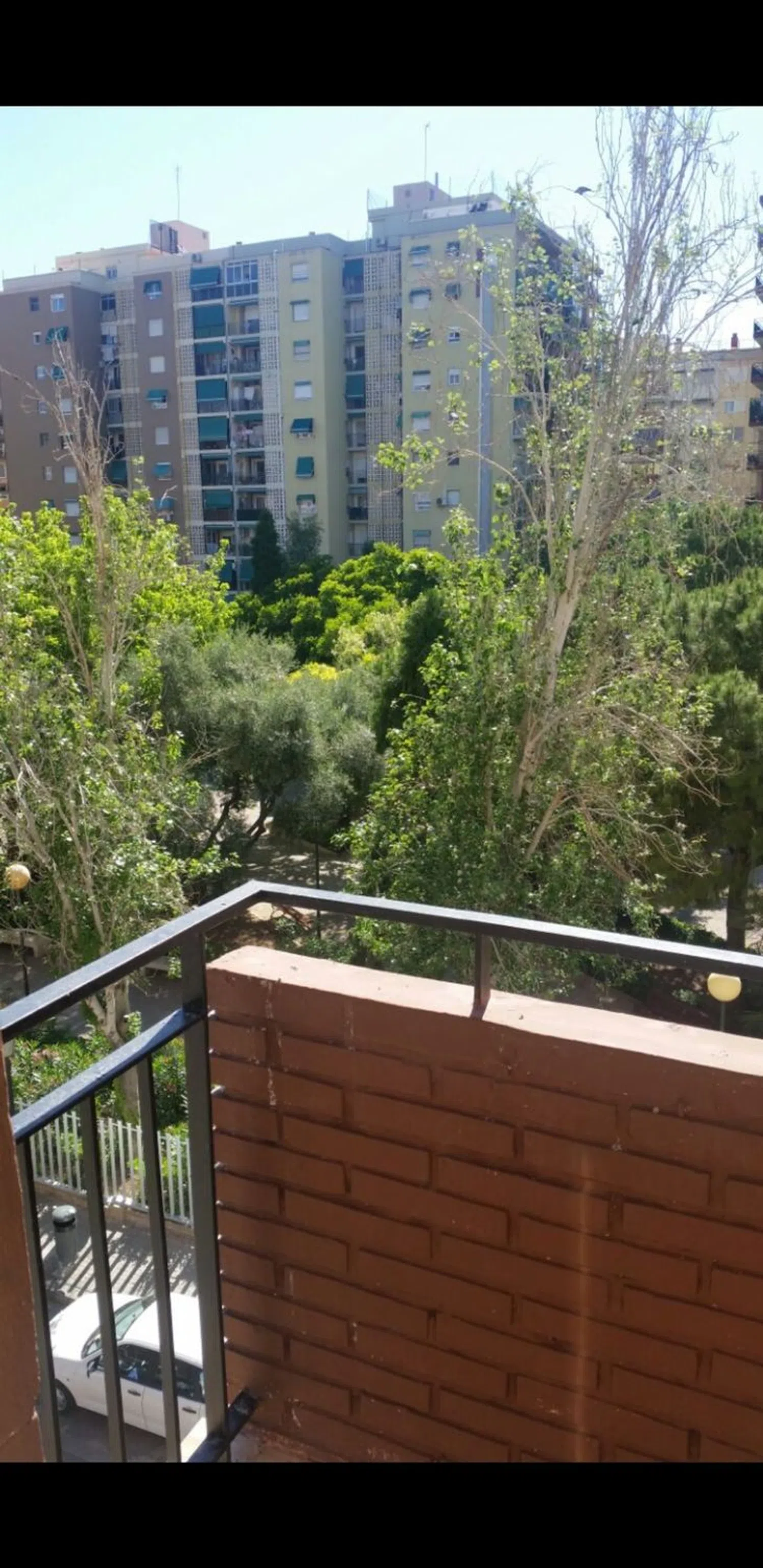 Piso en plaza del Cedro, 1 - Foto 8