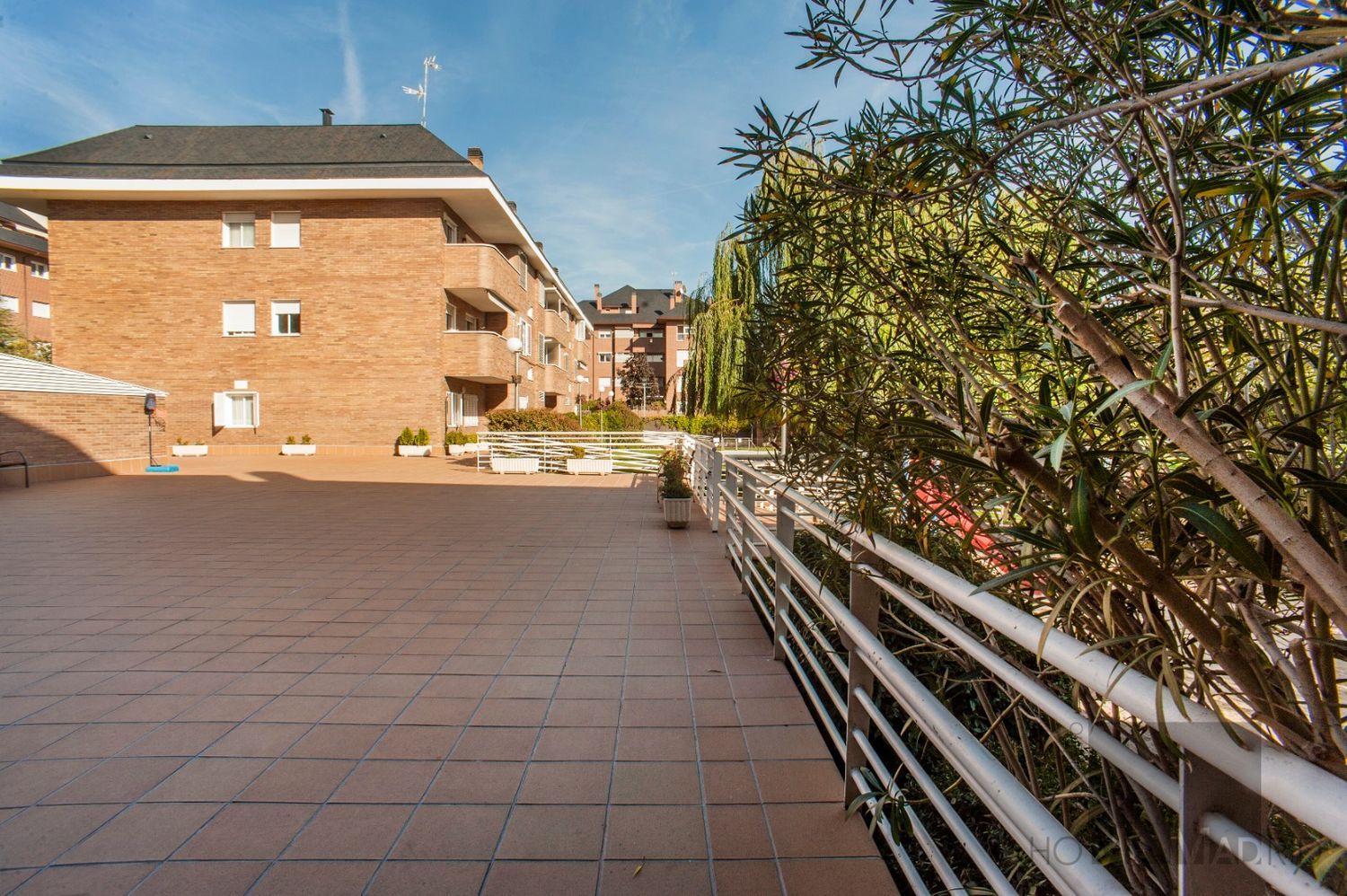 Piso en Avenida de la Oliva, 6, Golf - El Carralero - Foto 3