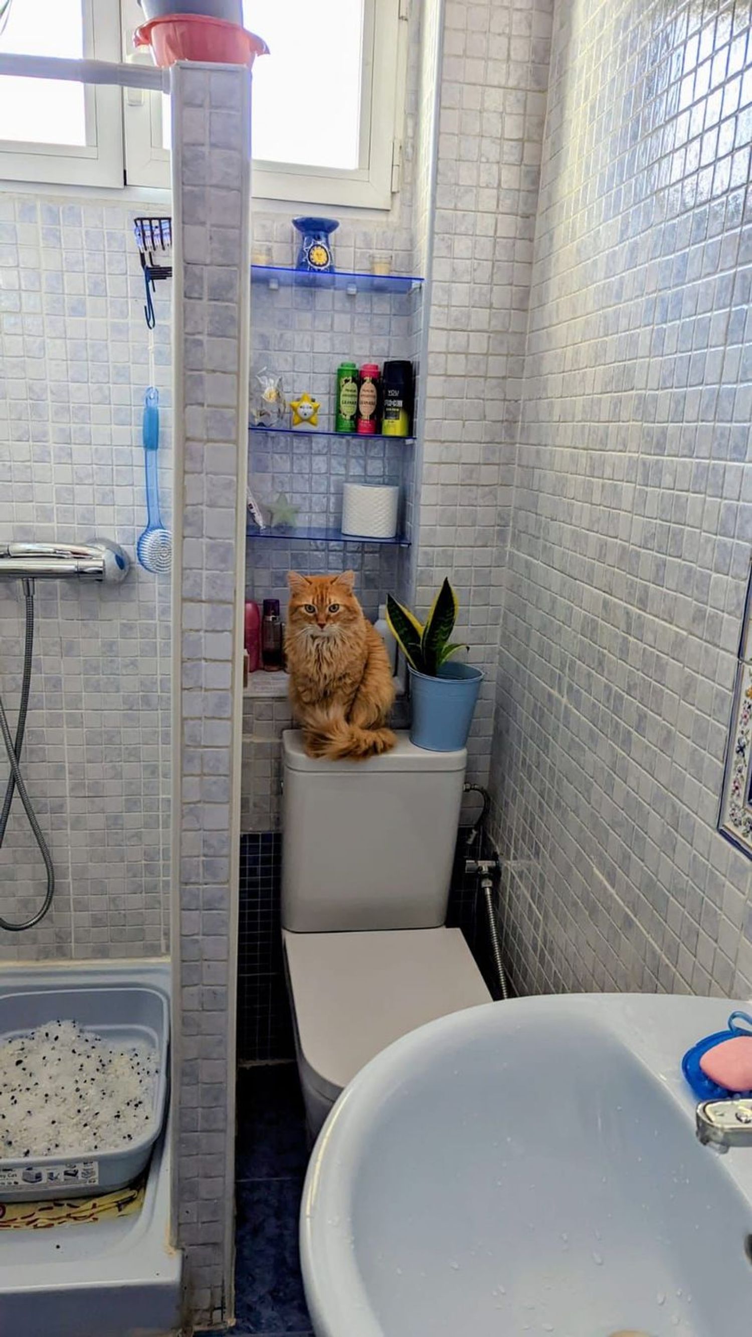 Piso en calle de la Verja, 44 - Foto 49