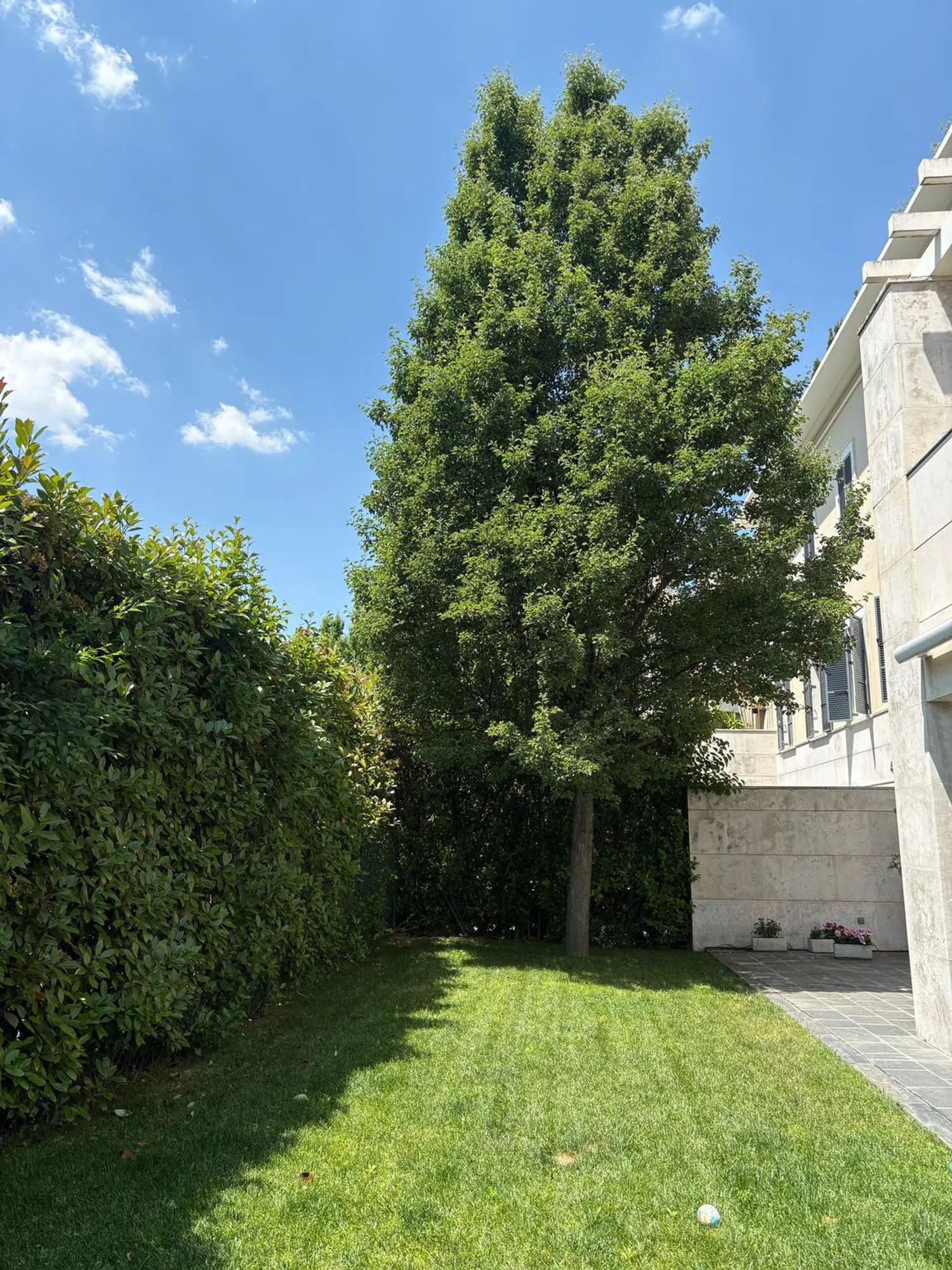 Piso en calle Doctor Balmis, 4 - Foto 12