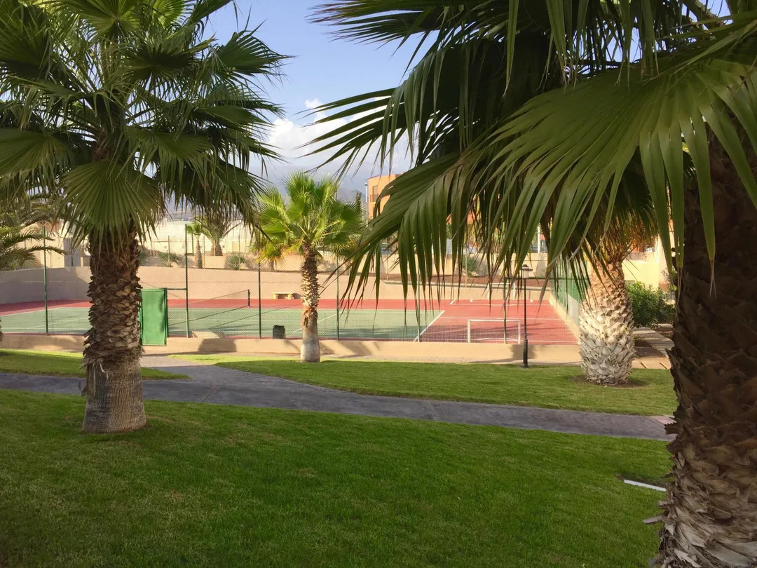 Casa adosada en  Calle El Cano 13 - Foto 3