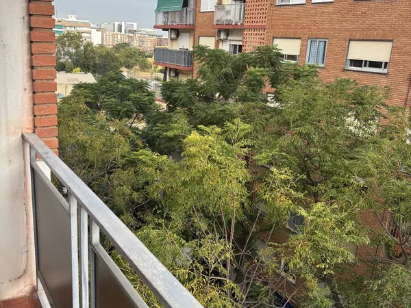 Piso en Plaza de Santiago Suárez Santi, 10, La Creu Coberta - Foto 5
