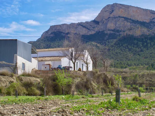 Casa independiente en Partida Almadrava, 1 - Foto 36