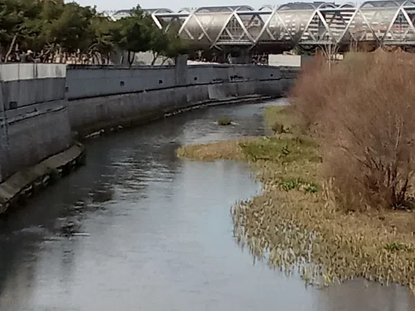 Piso en Vicente Martín Arias, 15 - Foto 13