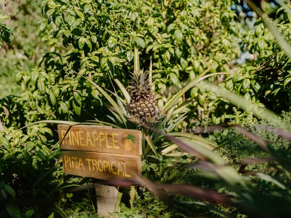 Casa rural en camino Carril, 39 - Foto 14