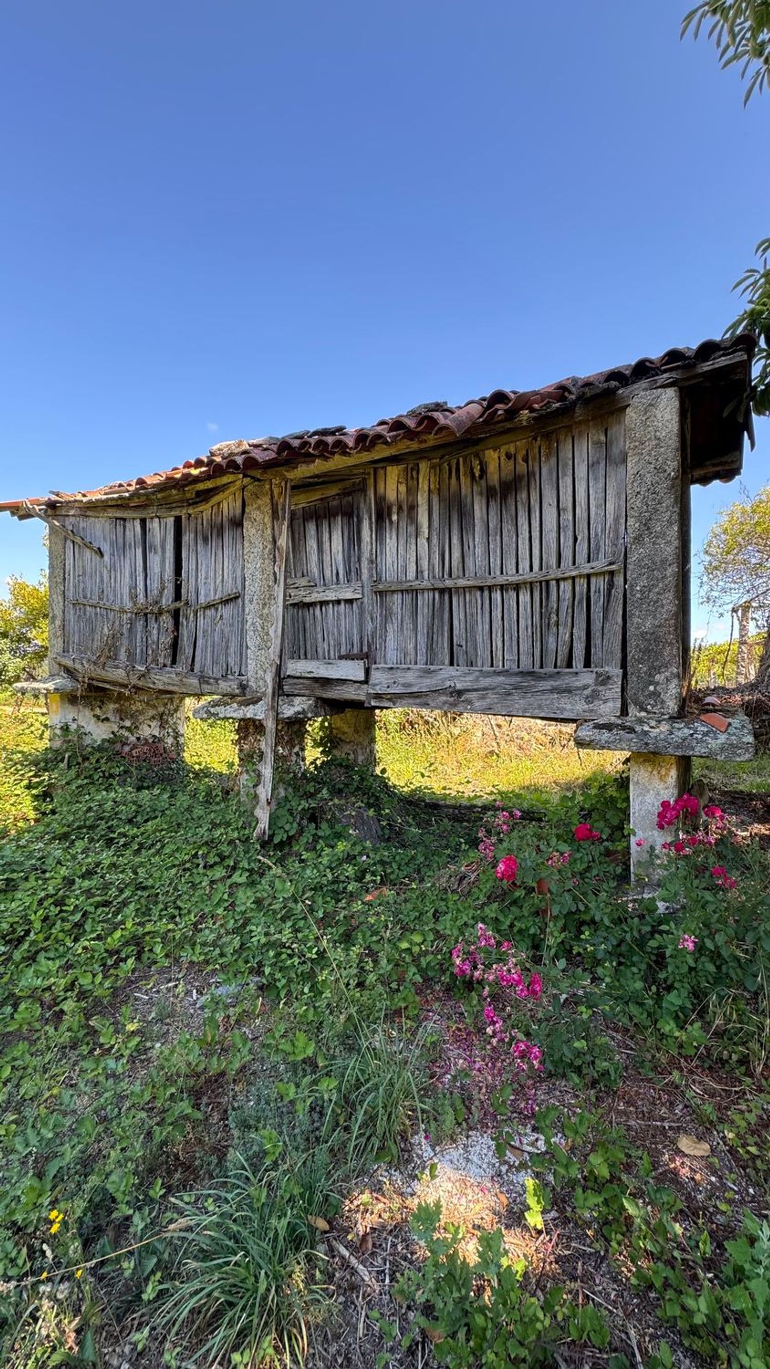 Finca rústica en San Cristóbal de Remesar, 3 - Foto 6