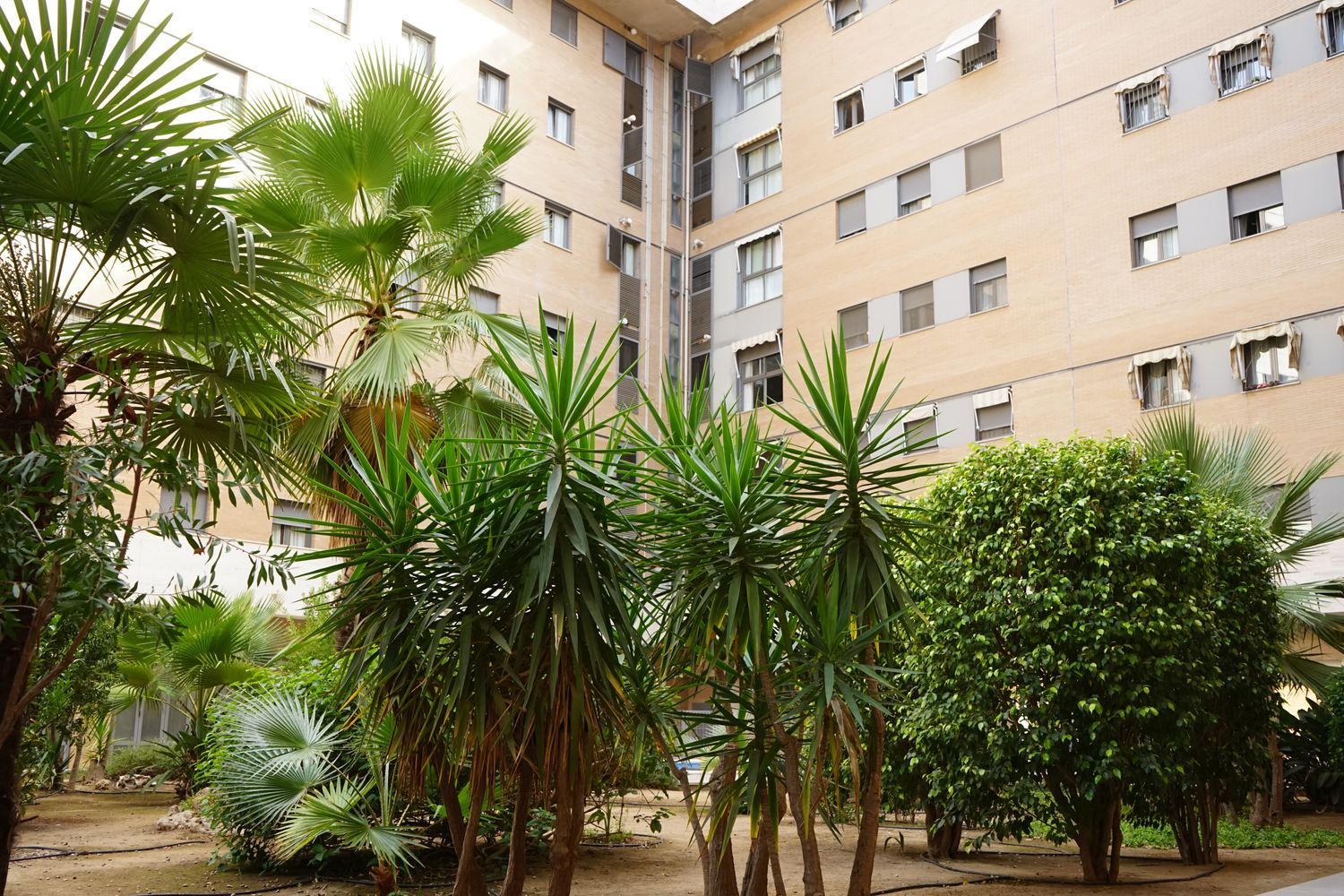 Piso en calle Camilo José Cela, 1 - Foto 15