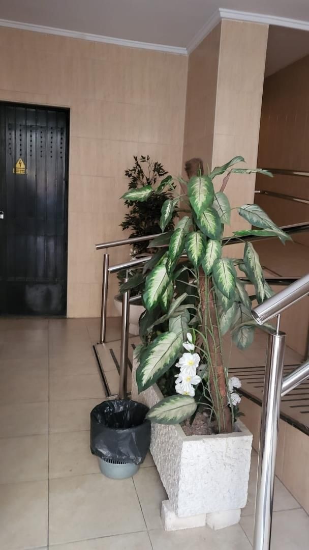 Piso en  Plaza Pío XII - Foto 1