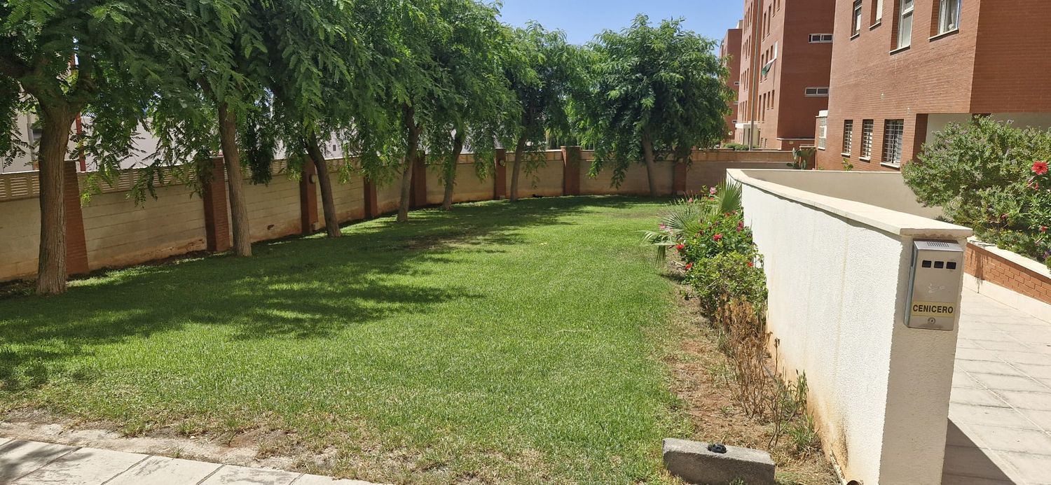 Piso en Calle Mariana Pineda, 4, Barrio San Luis - Los Molinos, Barrio San Luis - Los Molinos - Foto 18