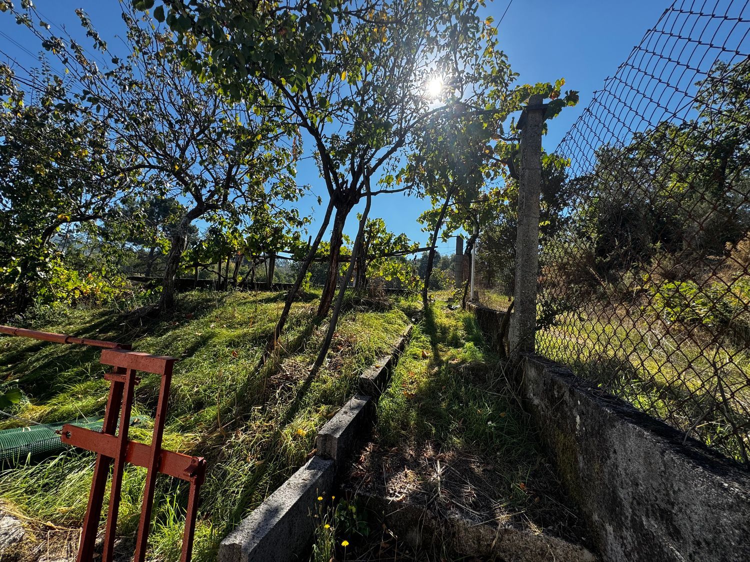 Finca rústica en Lugar Seixalbo, 108, Barrocanes, Barrocanes - Foto 5