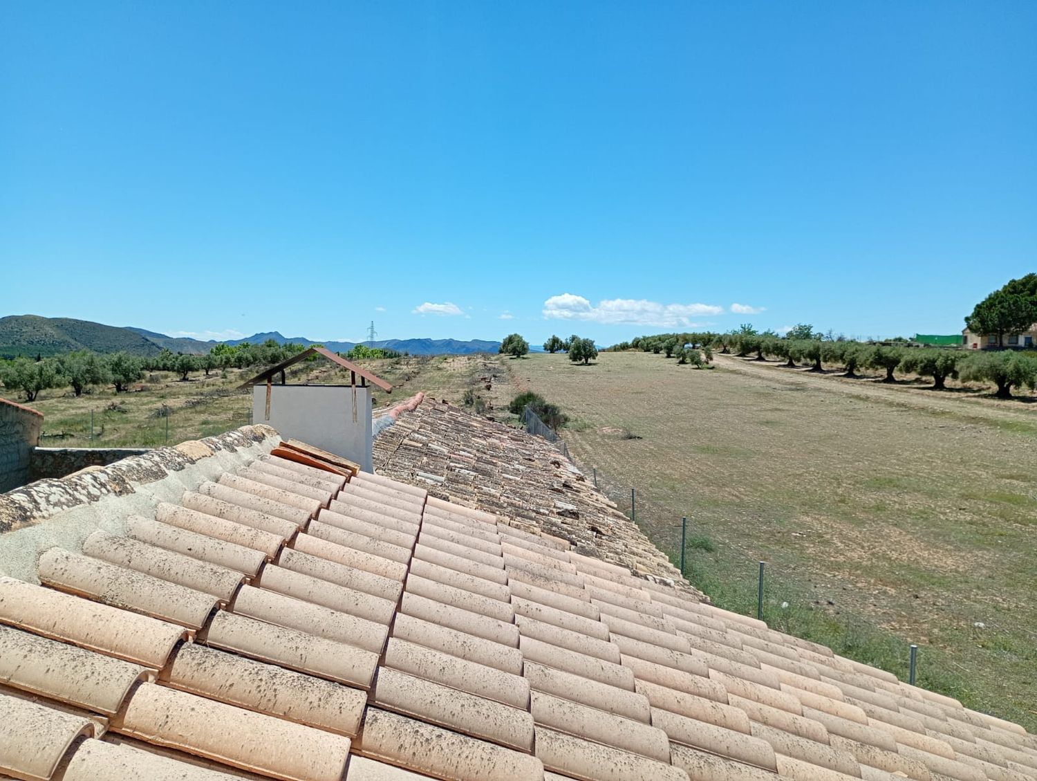 Finca rústica en Camino Vial, 999 - Foto 4
