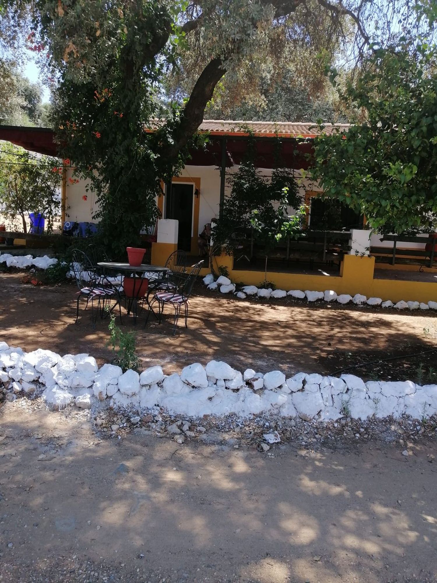 Finca rústica en Calle Rocadura s/n - Foto 4