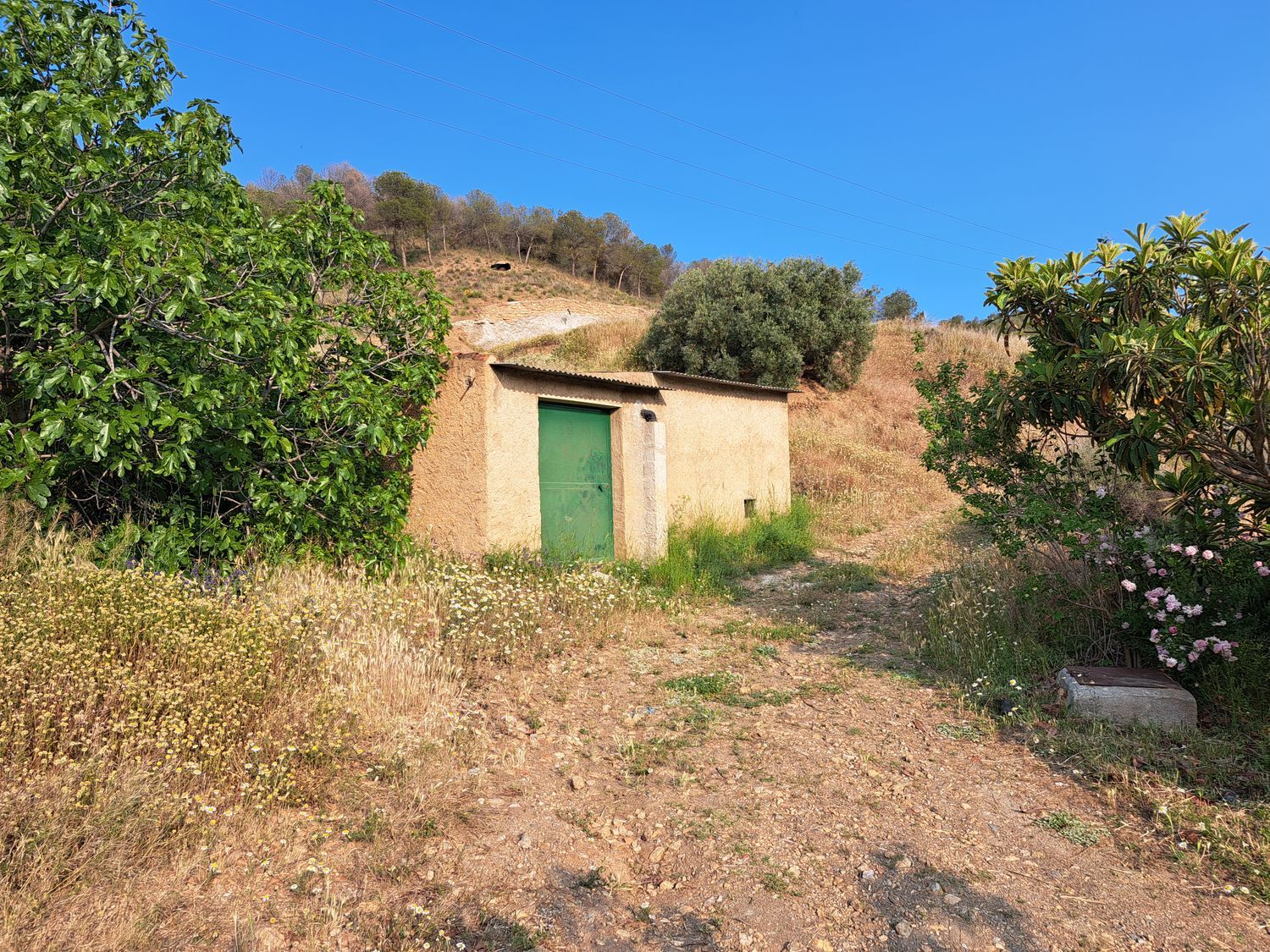 Cortijo en Camino del Castañar s/n - Foto 33