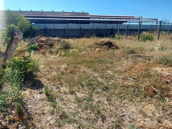 Finca rústica en Urbanización la Morena s/n, Patrocinio - Nueva Talavera, Patrocinio - Nueva Talavera - Foto 5