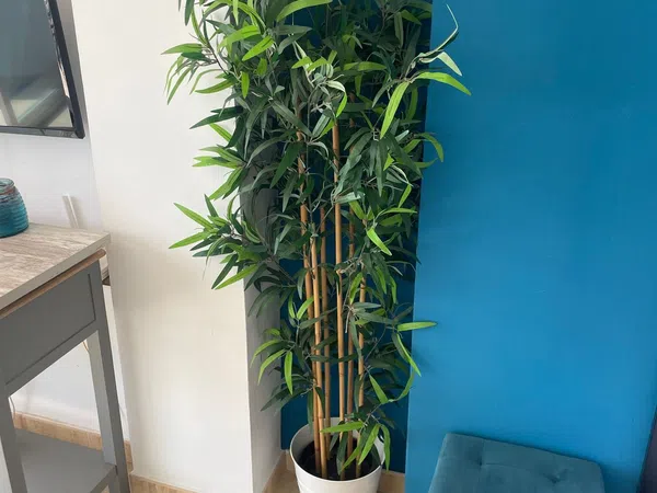 Estudio en Calle Centauro, 21 - Foto 2