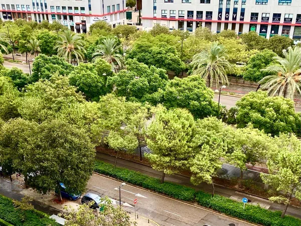 Piso en Avenida de les Corts Valencianes, 35, Sant Pau - Foto 3