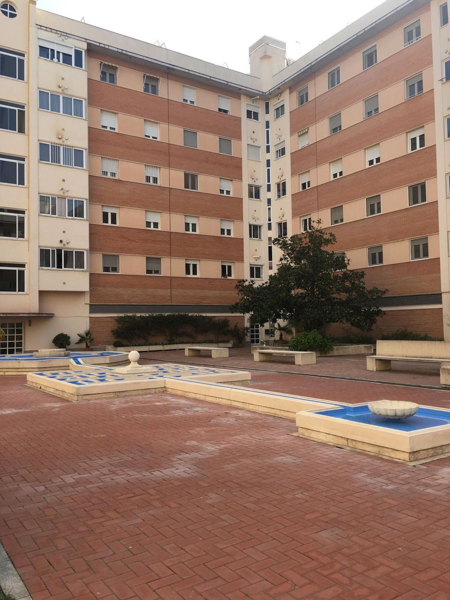 Piso en Barrio Zoco - Poniente - Foto 4