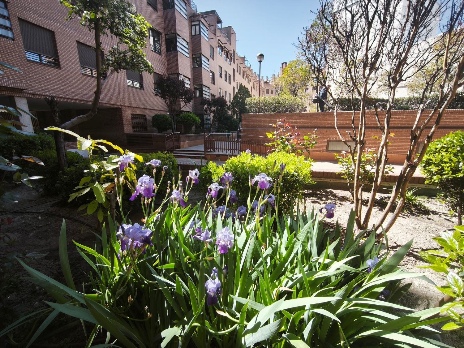 Piso en calle de Antonio López, 217 - Foto 57