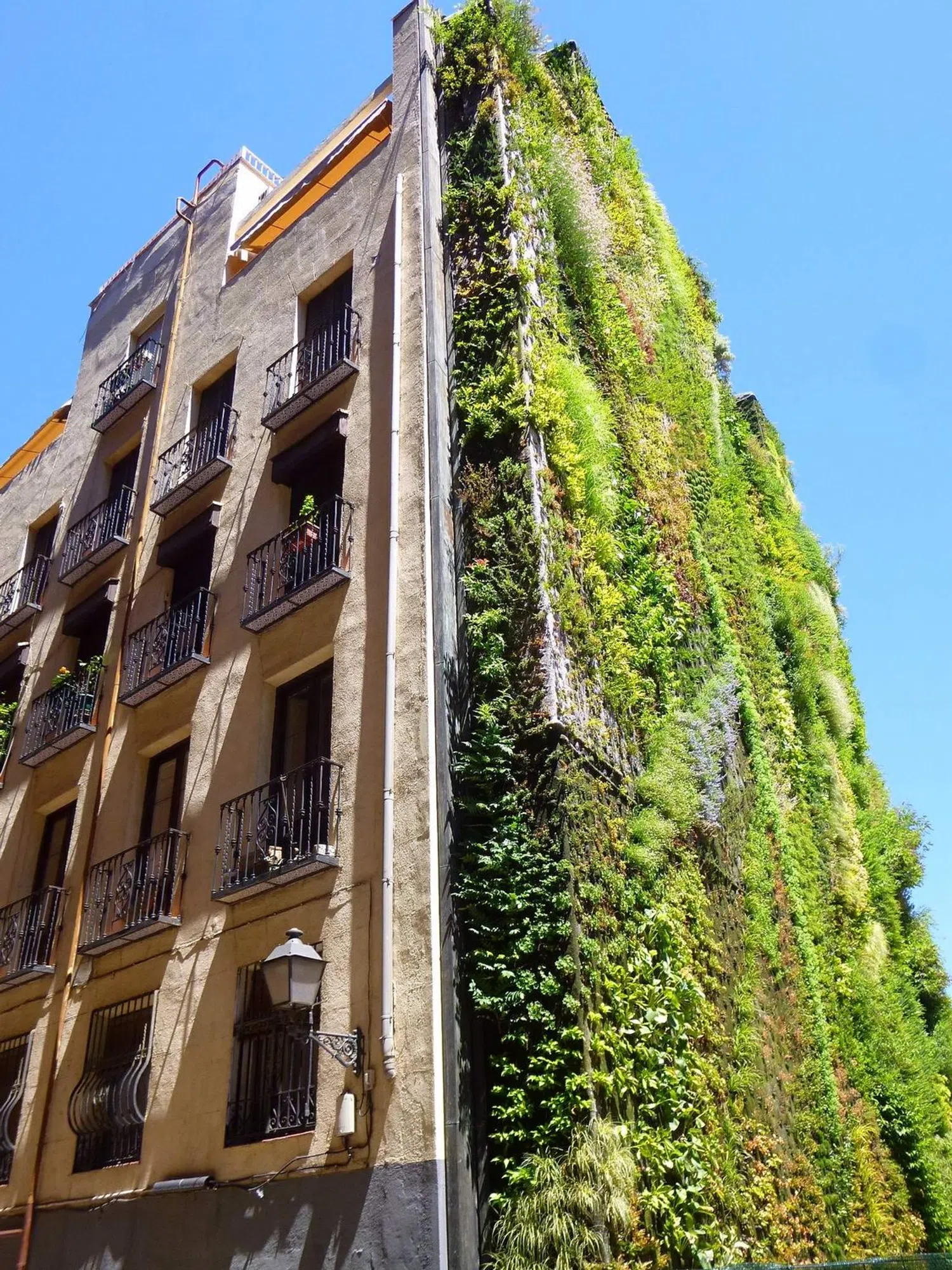 Piso en paseo del Prado, 34 - Foto 1