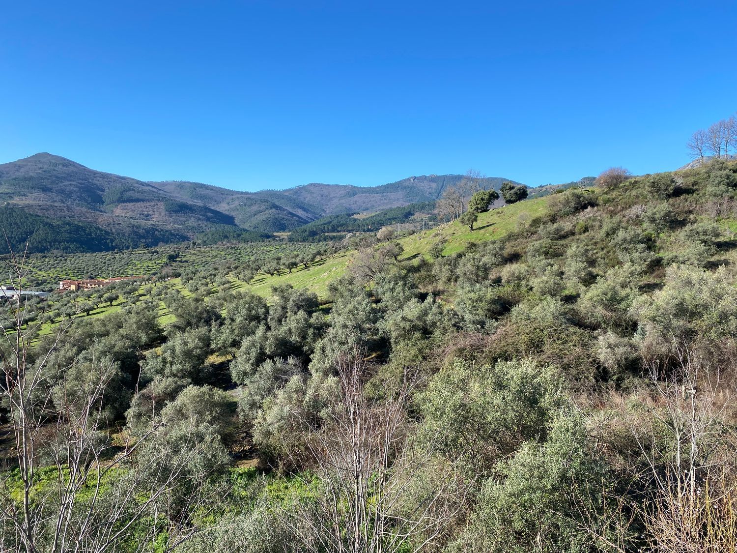 Casa independiente en calle Matorral, 21 - Foto 3