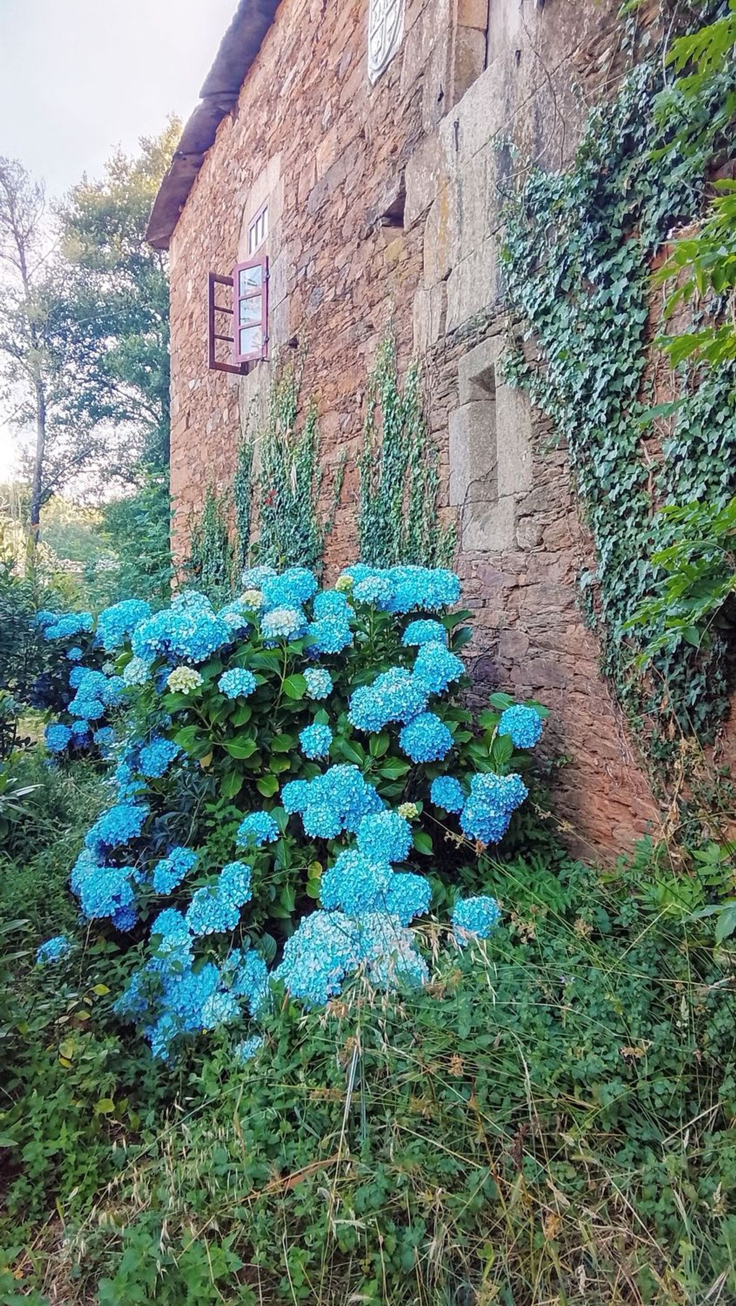 Palacio en Palacio en Monforte de Lemos - Foto 36