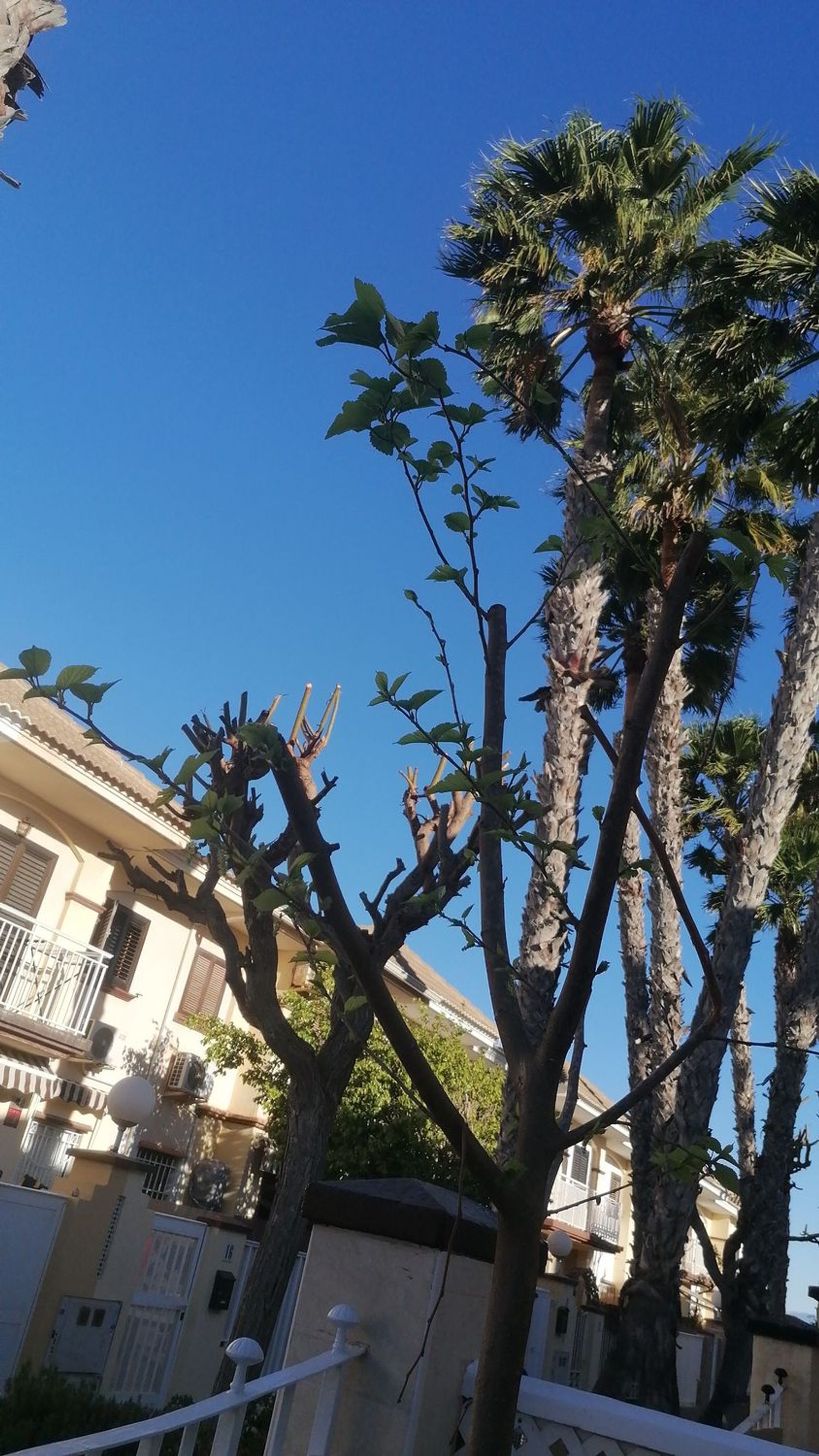 Chalet adosado en avenida Salamanca, 25 - Foto 18